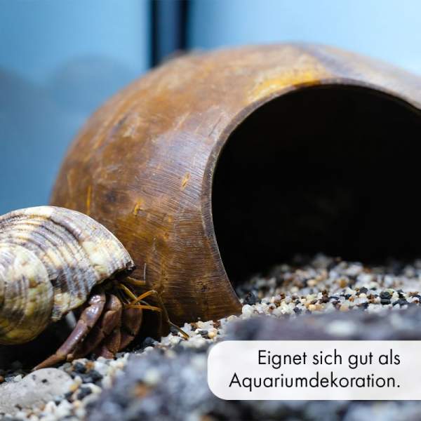 Preview: Kokos-Halbschale - Wasserschale